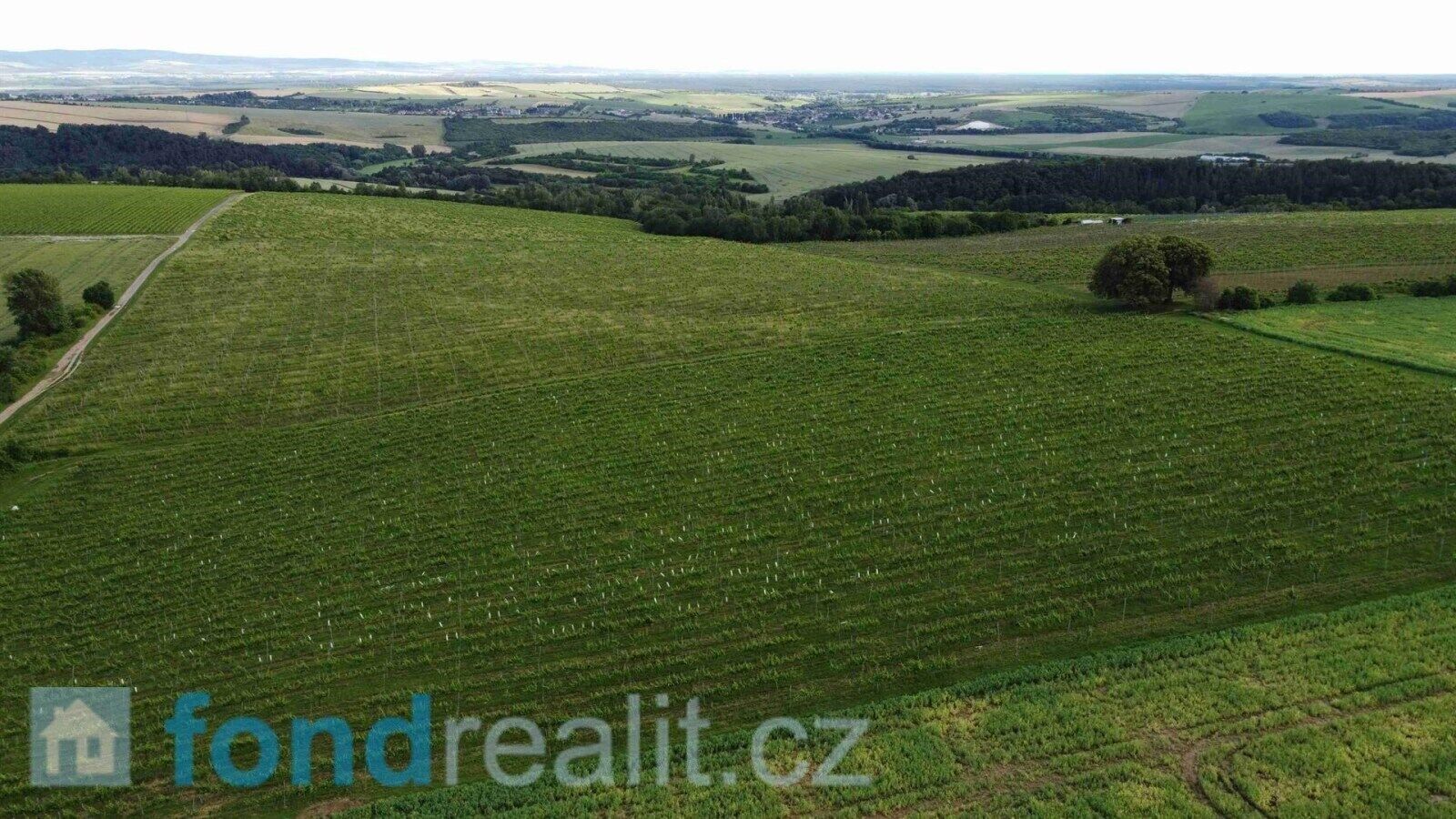 Ostatní, Ořechov, 27 m²