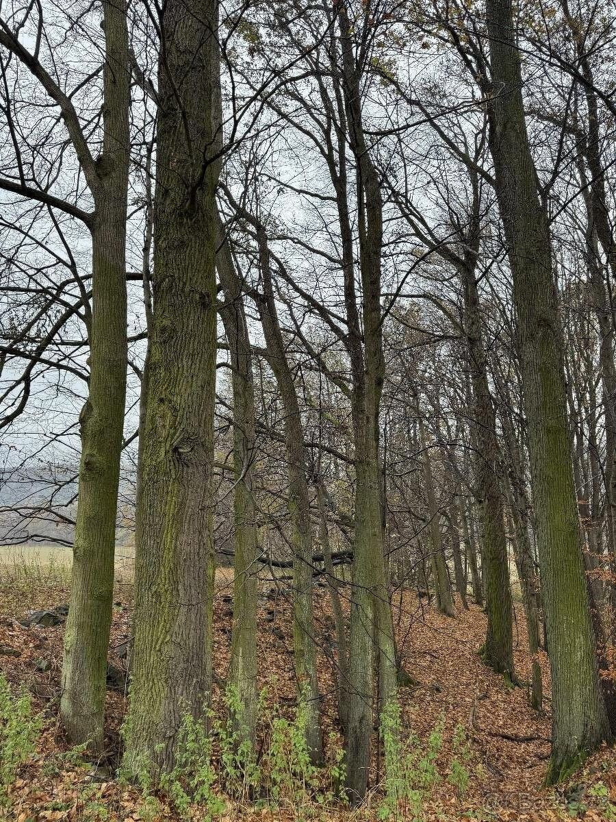 Prodej pozemek pro bydlení - Odry, 742 35