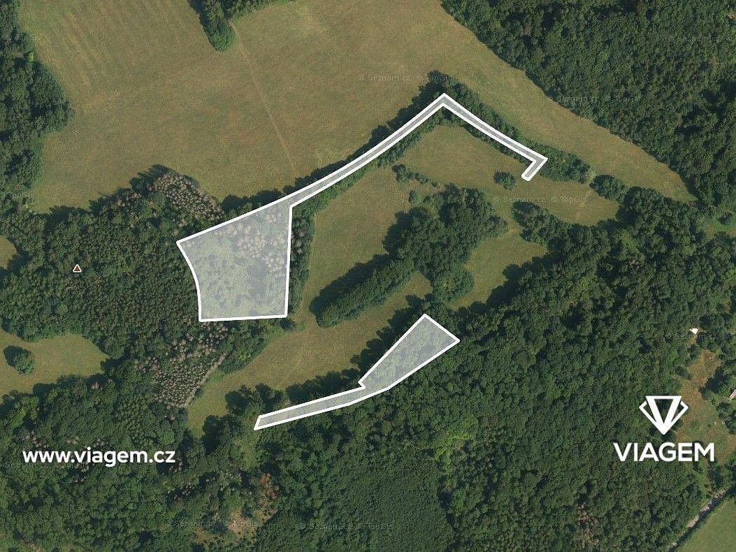 Les · Veselé, okres Děčín, Ústecký kraj - 2
