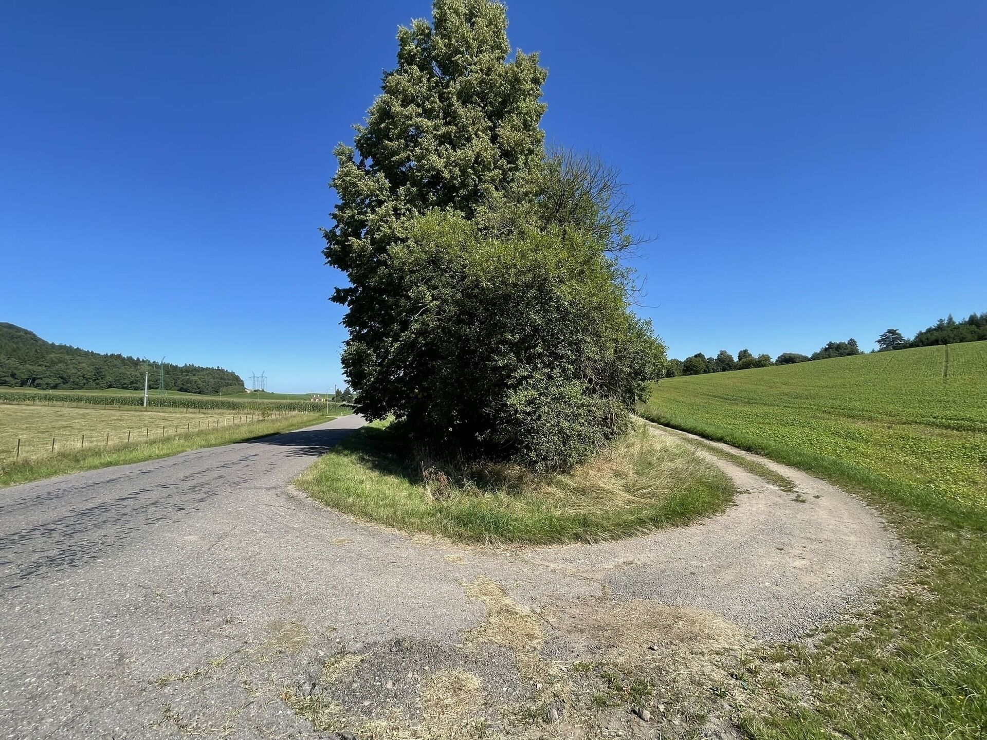 Prodej pozemek - Dolní Dobrouč Horní Dobrouč, 6 634 m² - 5