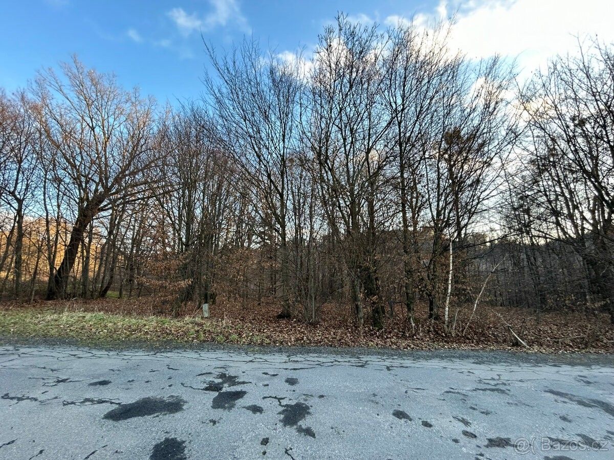 Prodej pozemek pro bydlení - Valašská Bystřice, 756 27