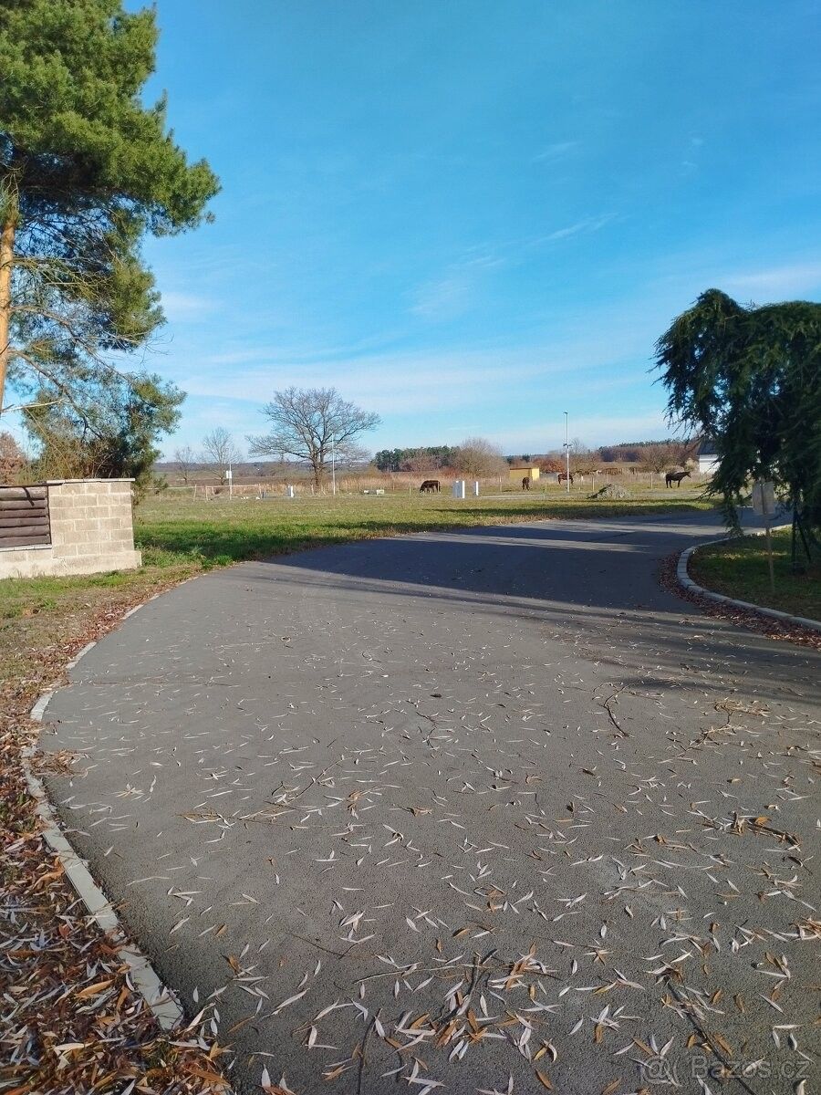 Pozemky pro bydlení, Sezemice, 533 04