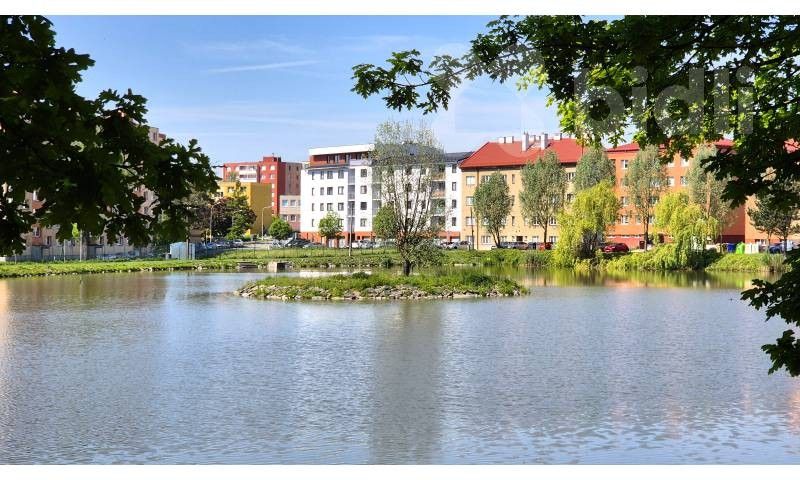 1+kk, Jiřího z Poděbrad 2281, Hranice I-Město, 36 m² - 1