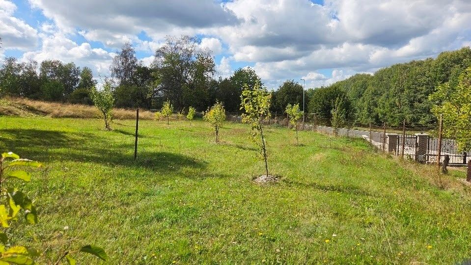 Pozemek pro bydlení · Přimda, 348 06 - 3