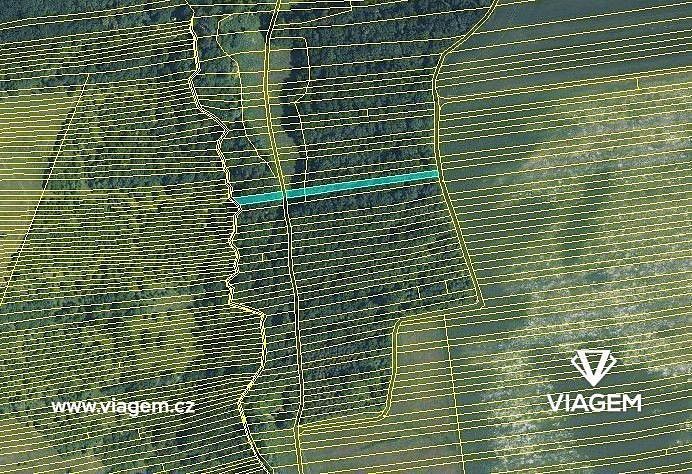 Les · Hradčovice, okres Uherské Hradiště, Zlínský kraj - 3