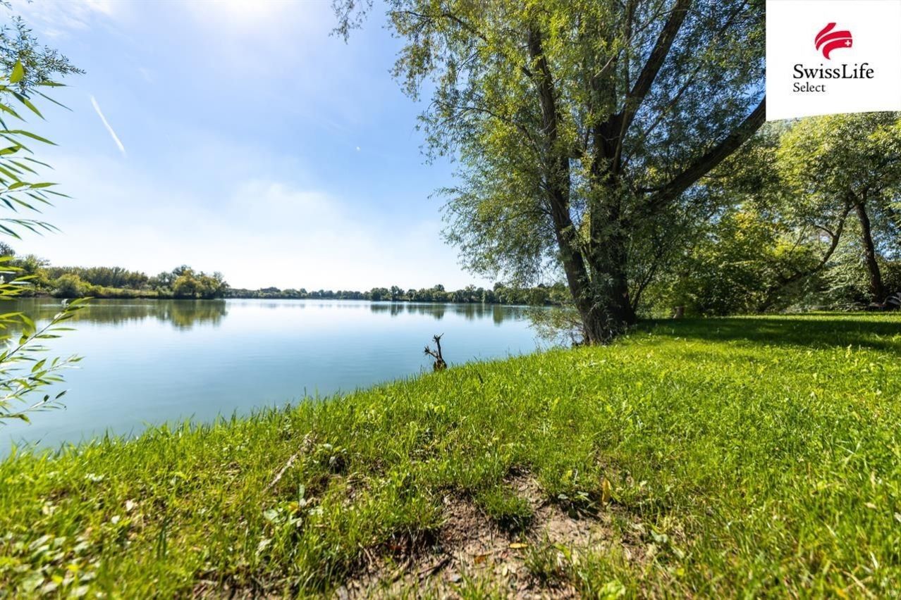 Prodej rybník - Velké Bílovice, 5 214 m²