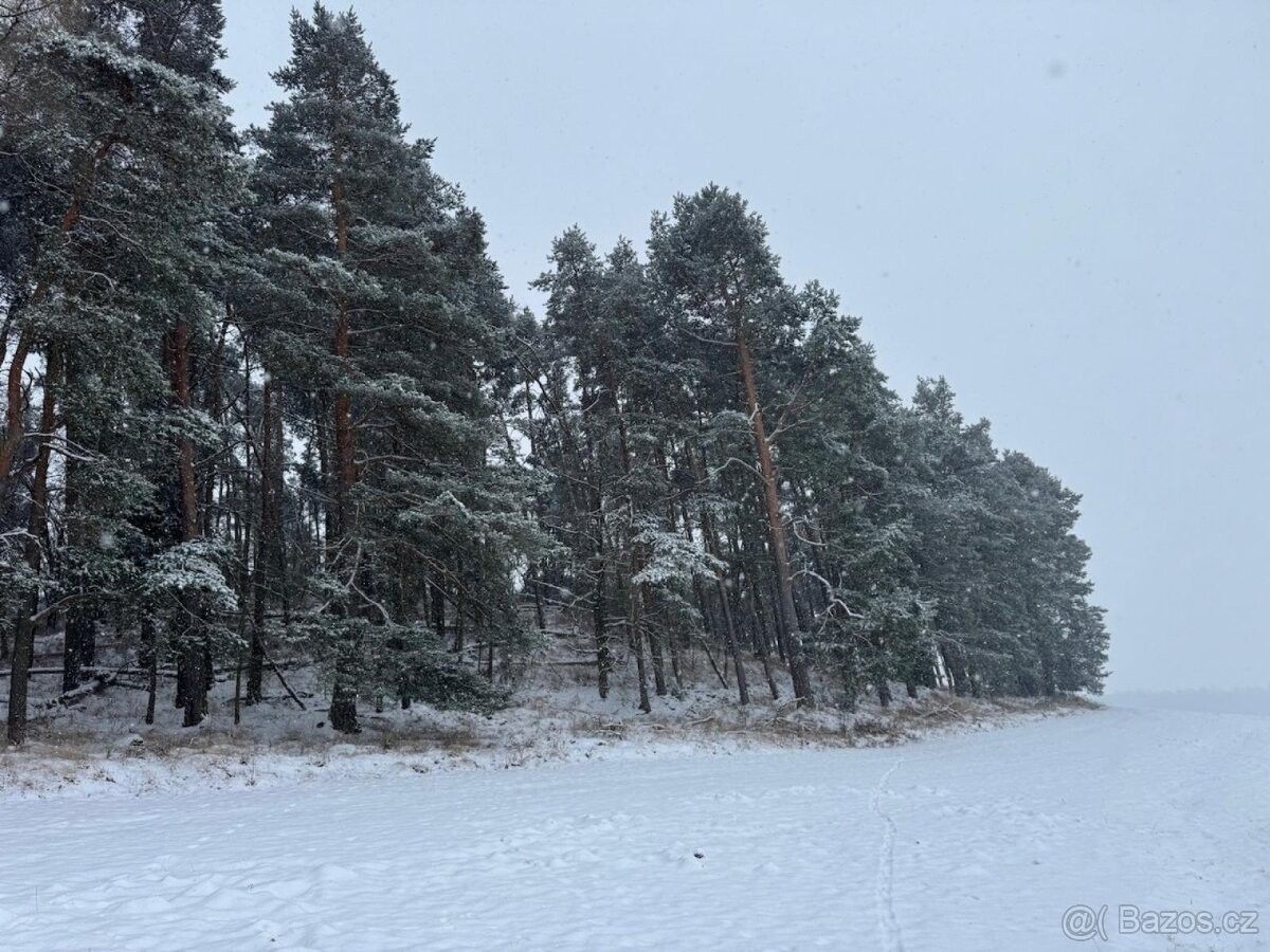 Pozemky pro bydlení, Horažďovice, 341 01