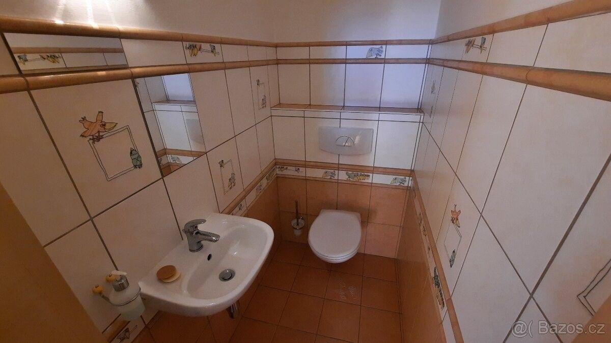 Pronájem rodinný dům - Hluboká nad Vltavou, 373 41 - 5