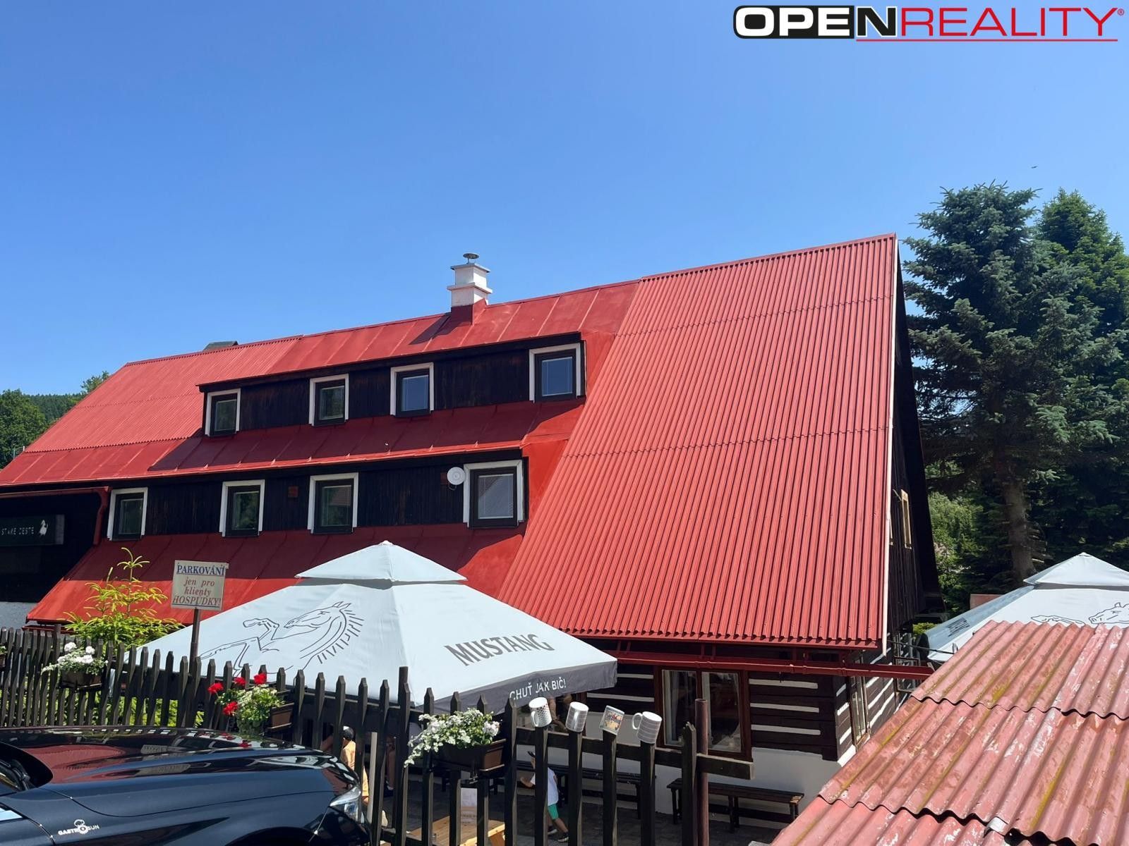 Ostatní, Deštné v Orlických horách, 360 m²