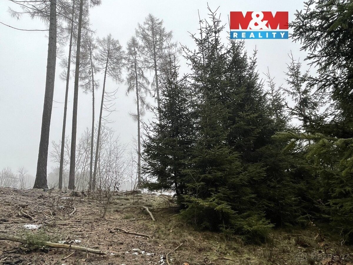 Pozemky pro bydlení, Mladá Vožice, 391 43