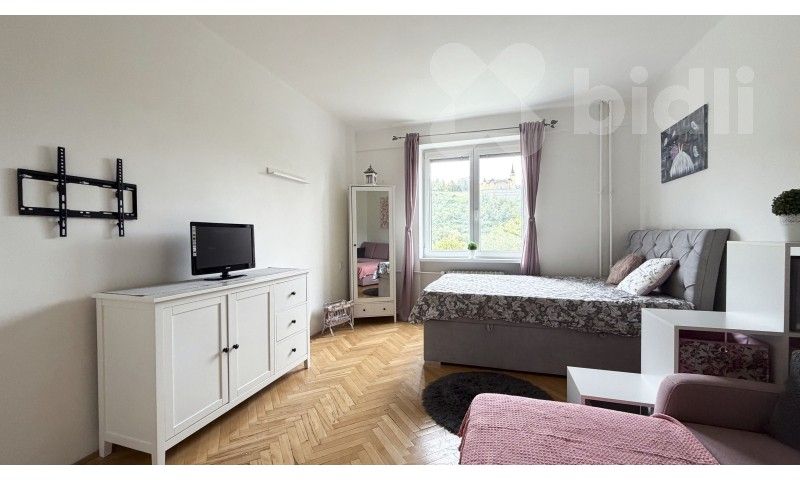 Prodej byt 1+1 - Střekovské nábřeží 1159, Ústí nad Labem Střekov, 40 m² - 2