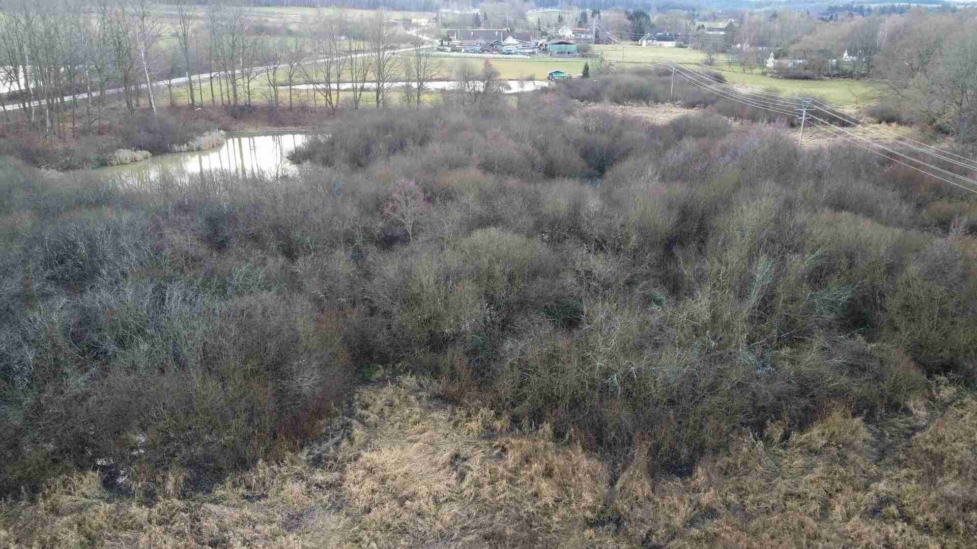 Pozemek · 35 772 m² · Nové Hrady Štiptoň - 3