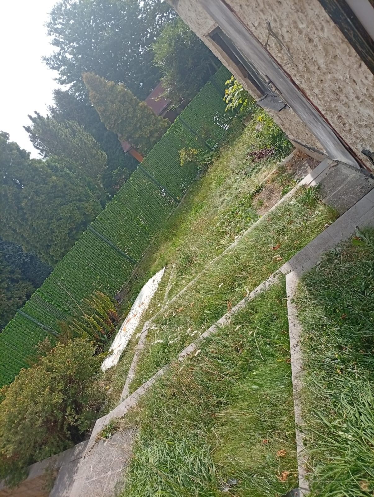 Prodej rodinný dům - Ústecká, Chlumec, 200 m² - 5