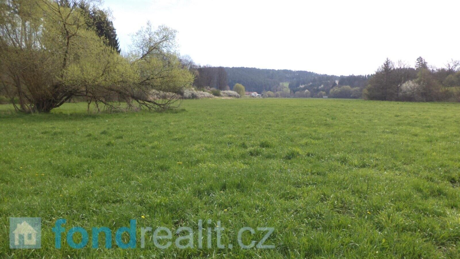 Prodej pozemek - Dešná Dančovice, 2 759 m² - 5