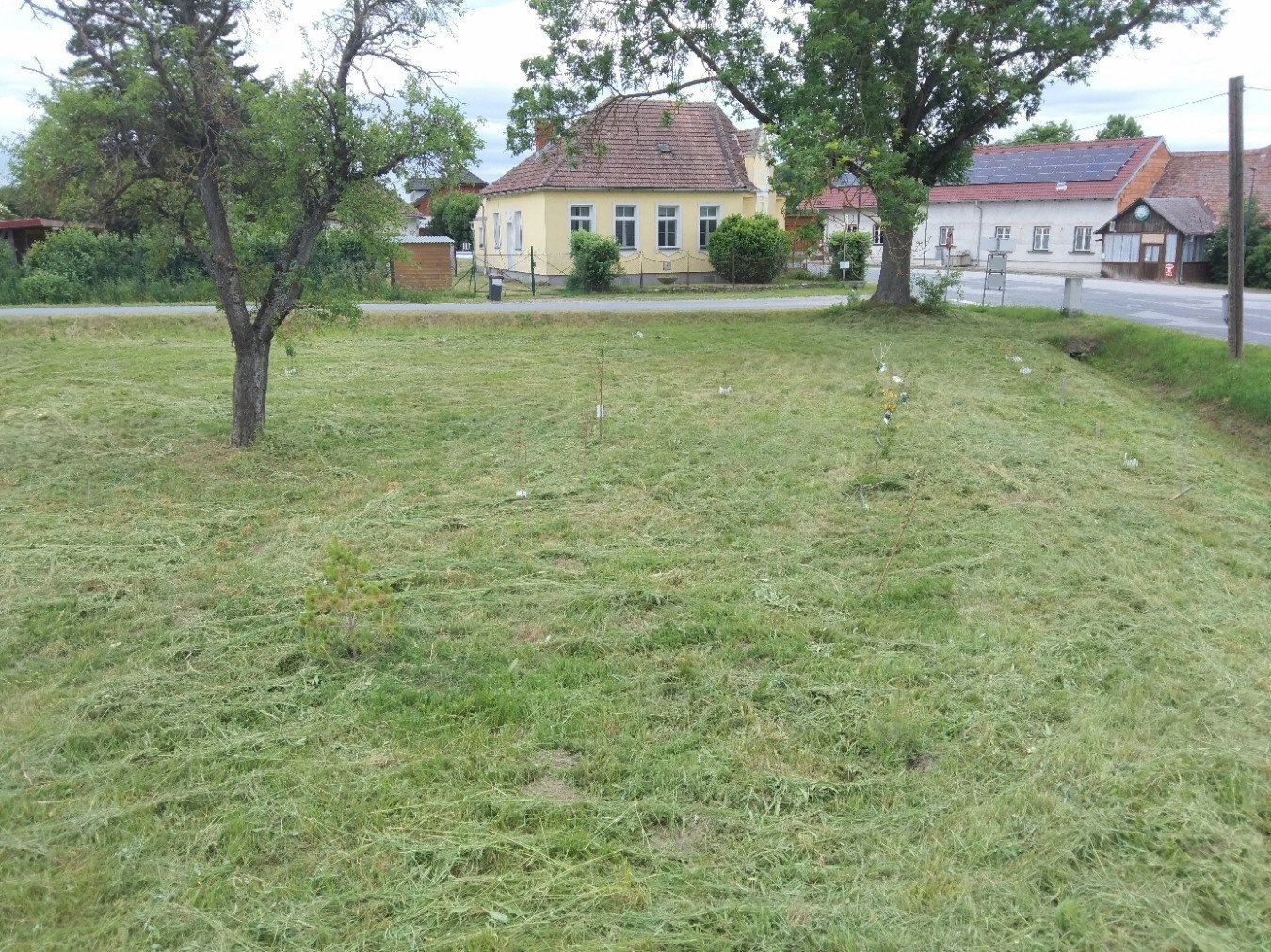 Pronájem byt 5+1 - Heinrichsreith 28 Drosendorf-Zissersdorf Heinrichsreith Niederösterreich 2095, 70 m² - 5