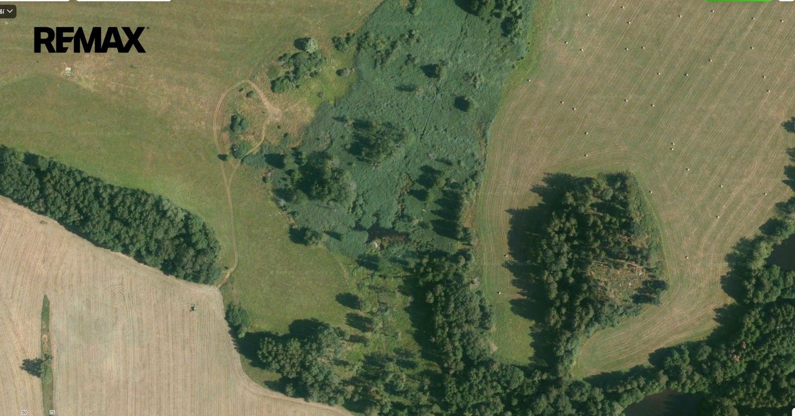 Prodej rybník - Hošťka, 10 807 m² - 5