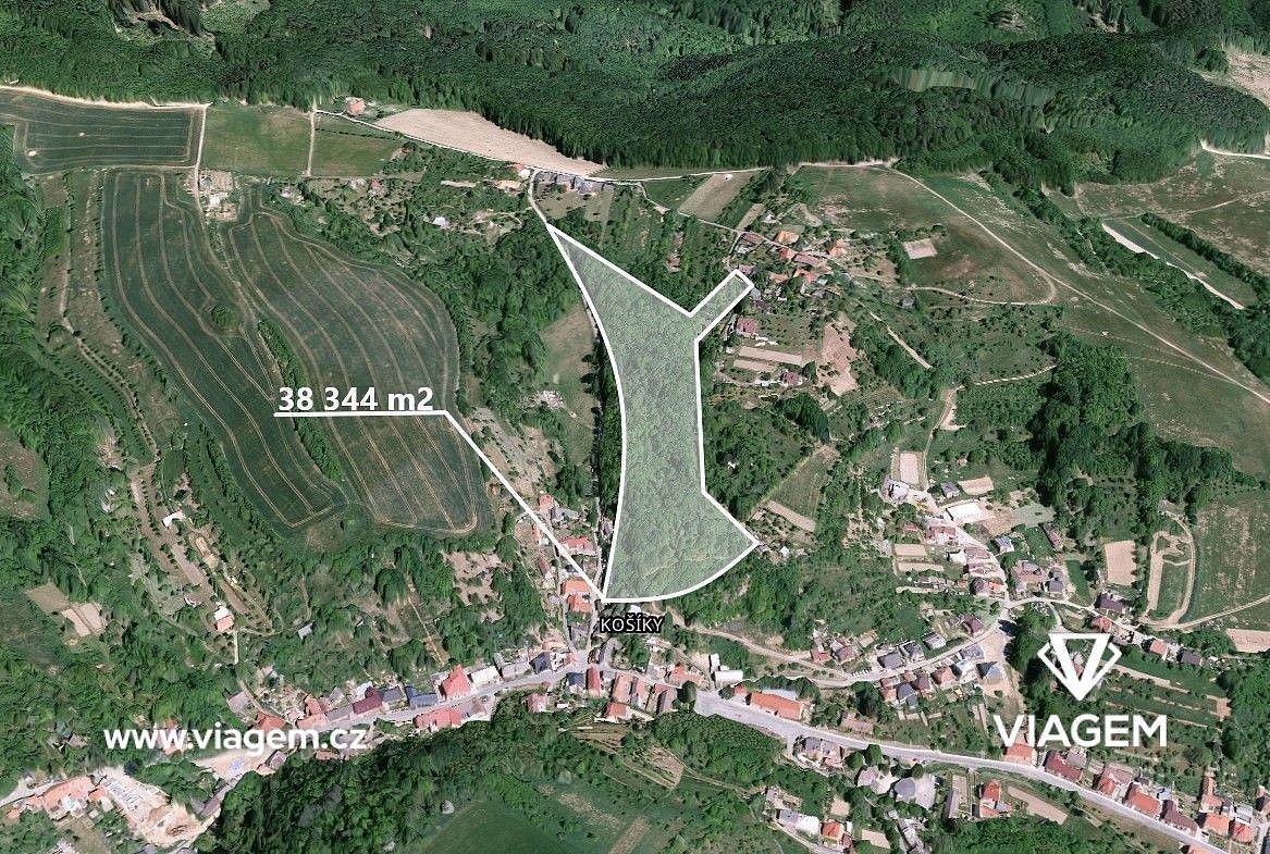 Les · Košíky, okres Uherské Hradiště, Zlínský kraj - 3