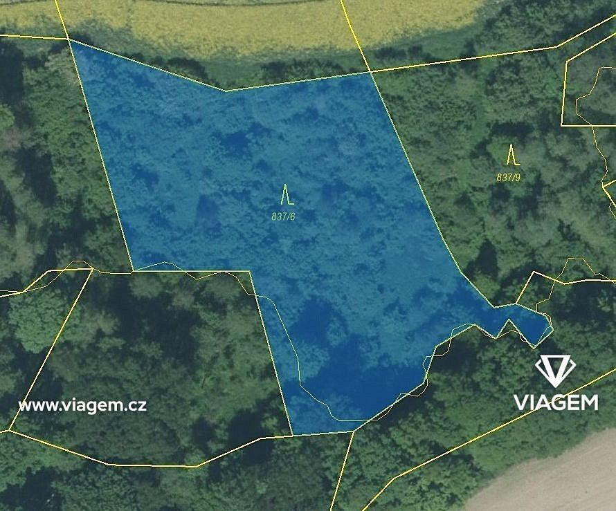 Les · Hlinka, okres Bruntál, Moravskoslezský kraj - 3