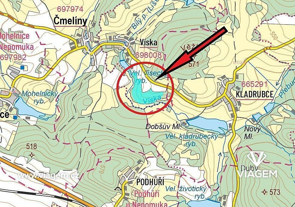 Les · Čmelíny, okres Plzeň-jih, Plzeňský kraj - 4
