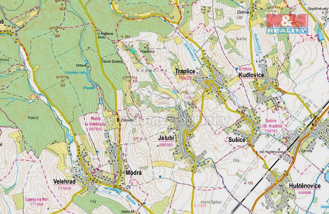 Les · Traplice, okres Uherské Hradiště, Zlínský kraj - 3