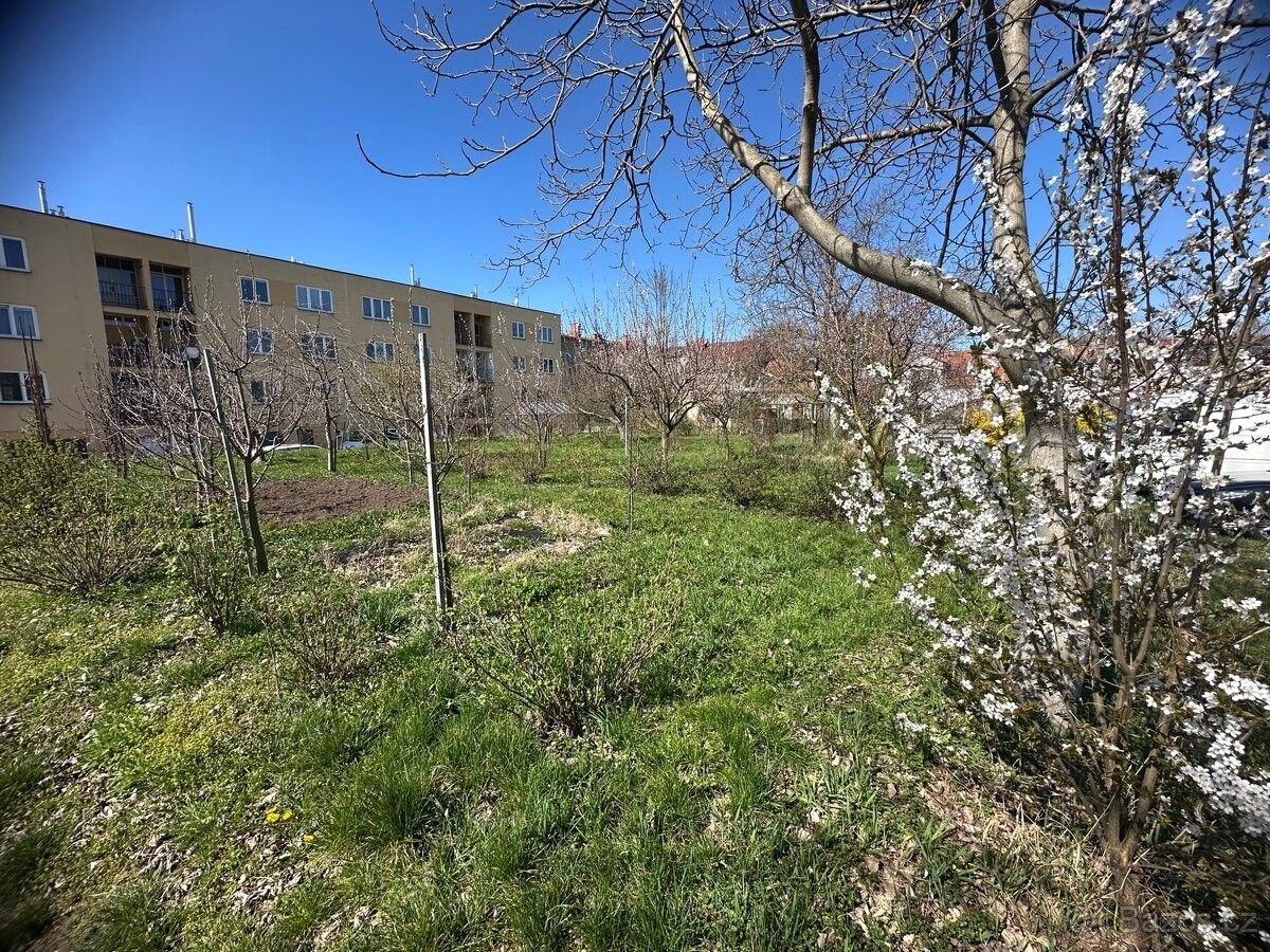 Pronájem zahrada - Pardubice, 530 03