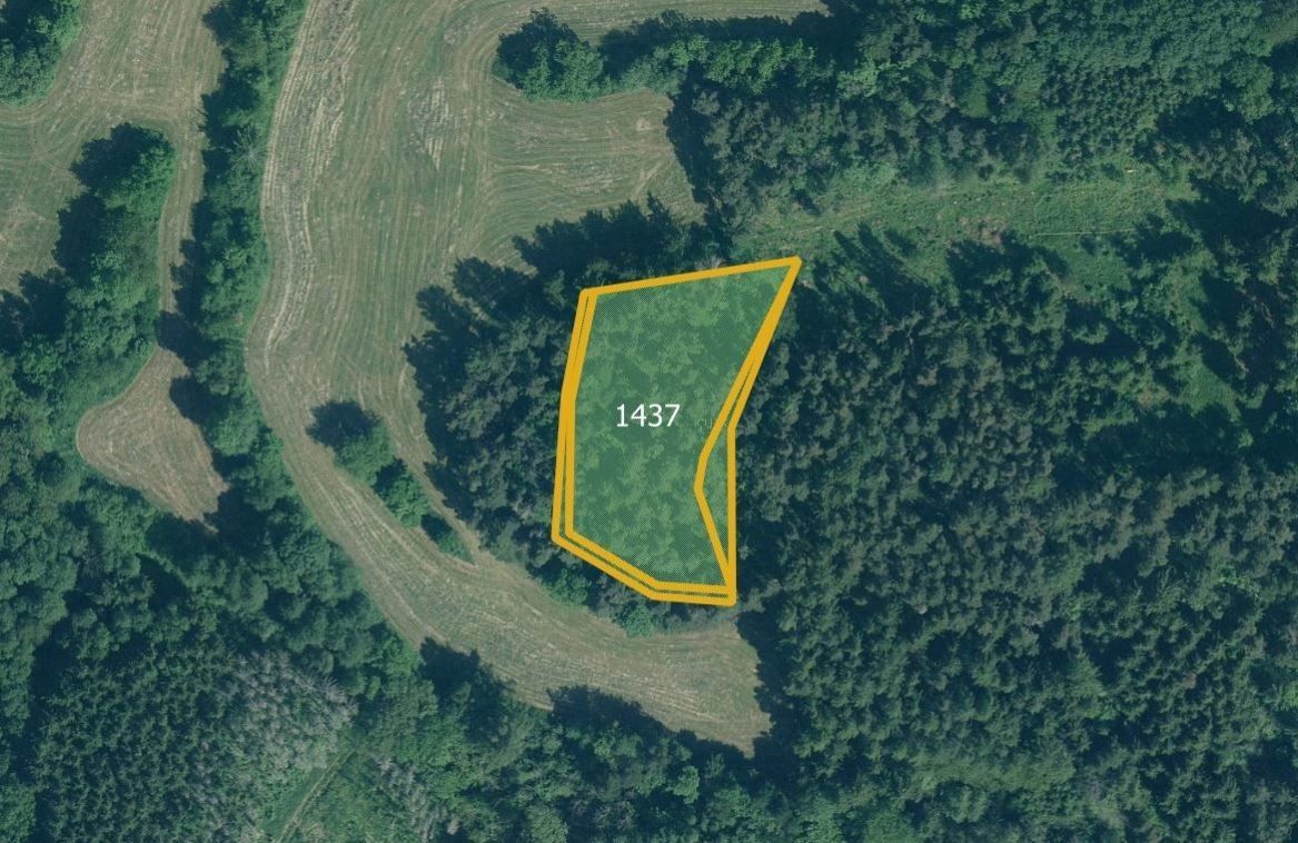 Prodej pozemek pro bydlení - Volenice, 387 16