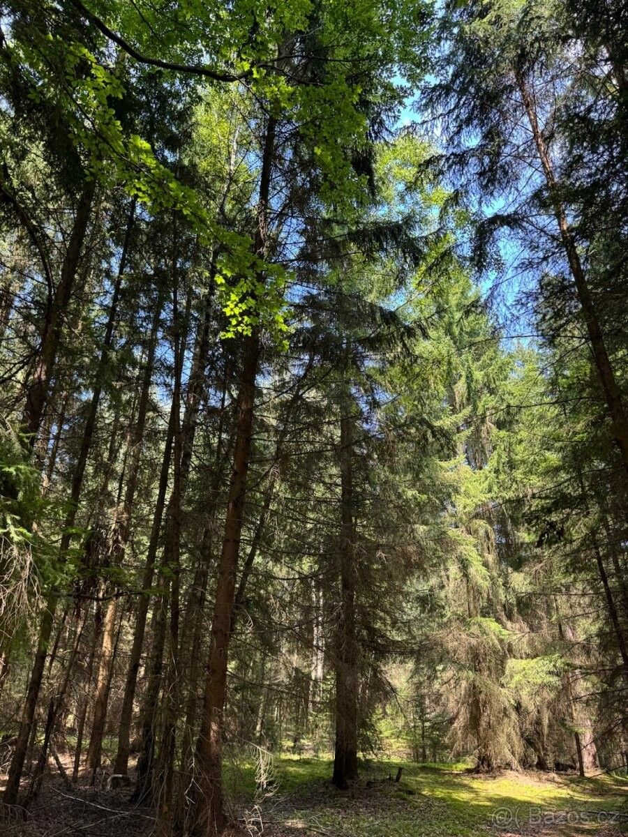 Prodej pozemek pro bydlení - Trhové Sviny, 374 01