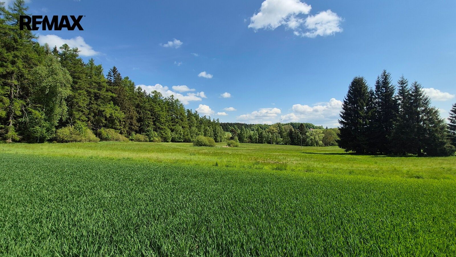 Pozemek pro bydlení · 5 776 m² · Borová - 4