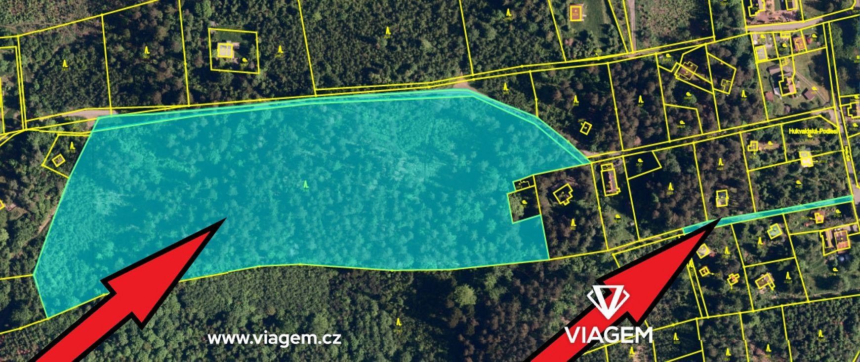 Lesy, Frýdlant nad Ostravicí, okres Frýdek-Místek, Moravskoslezský kraj - 2