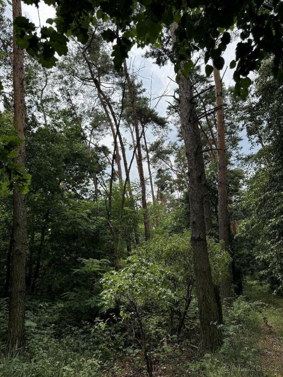 Pozemky pro bydlení, Chvaletice, 533 12