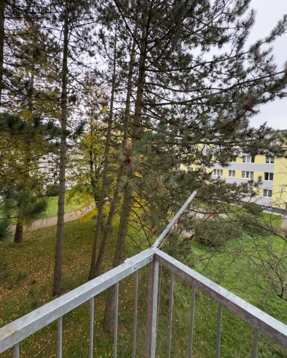 2+1, Antonína Sovy, Česká Lípa, 50 m² - 2