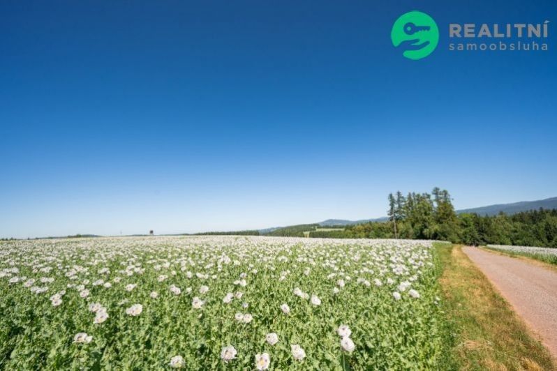 Zemědělský pozemek · 40 000 m² · Prosečné - 4
