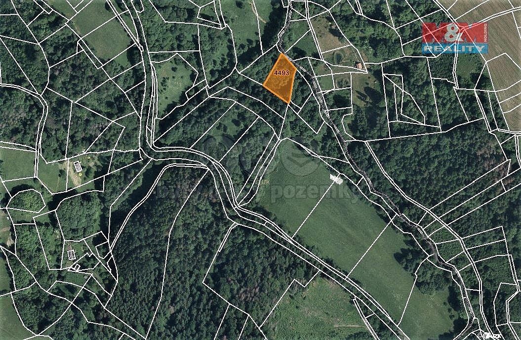 Les · Koberovy, okres Jablonec nad Nisou, Liberecký kraj - 3