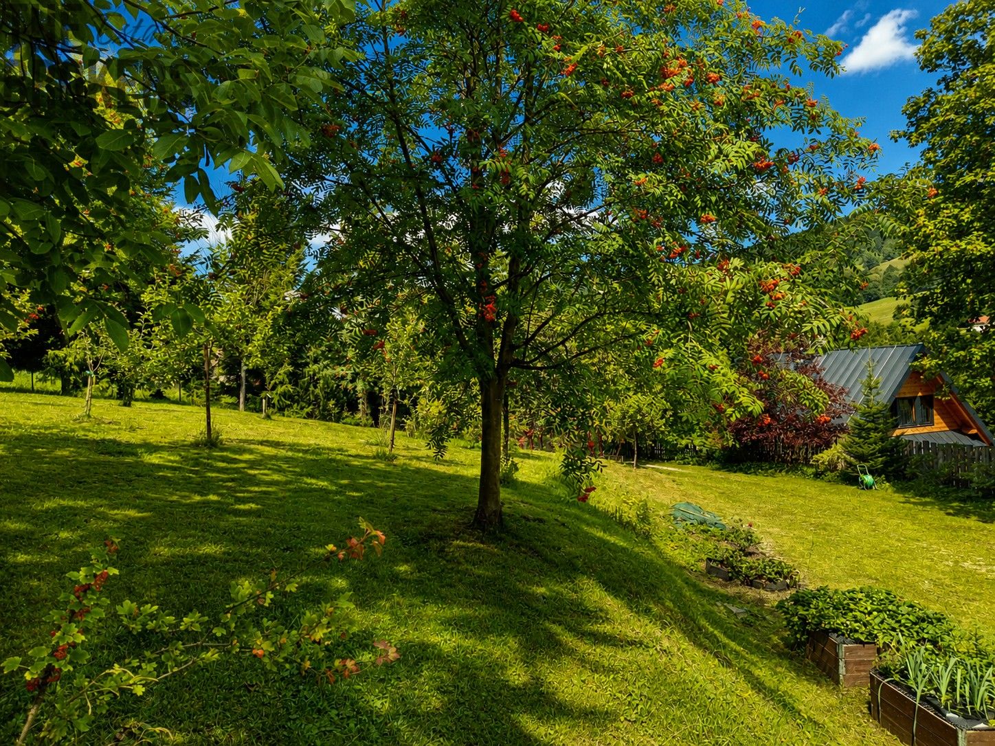 Rodinné domy, Pod Žalým, Vrchlabí Hořejší Vrchlabí, 125 m² - 2