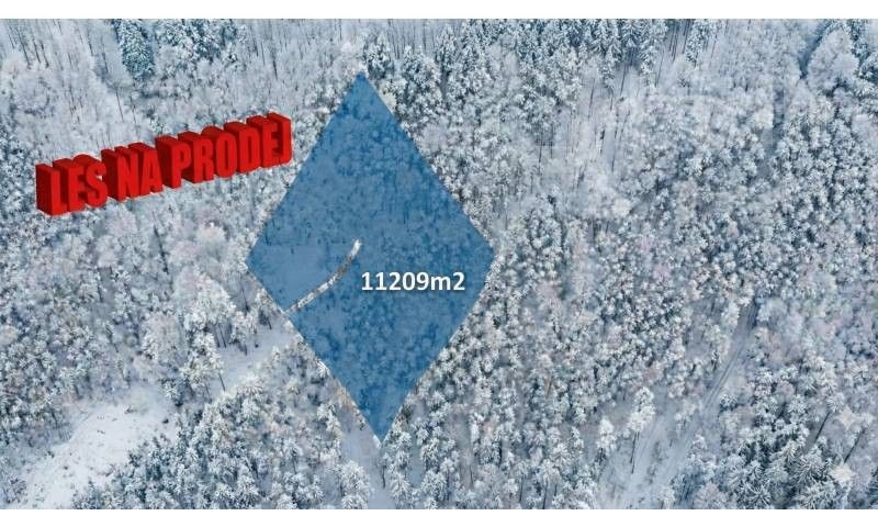 Lesy, Bohdalovice, Velké Hamry