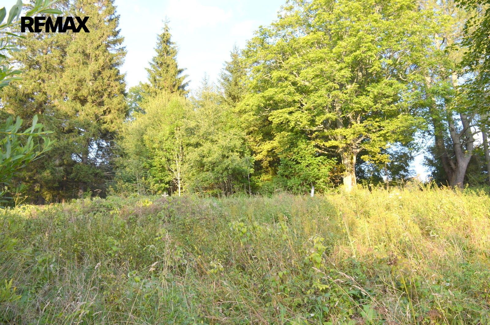 Prodej pozemek - Borová Lada, 8 040 m² - 5