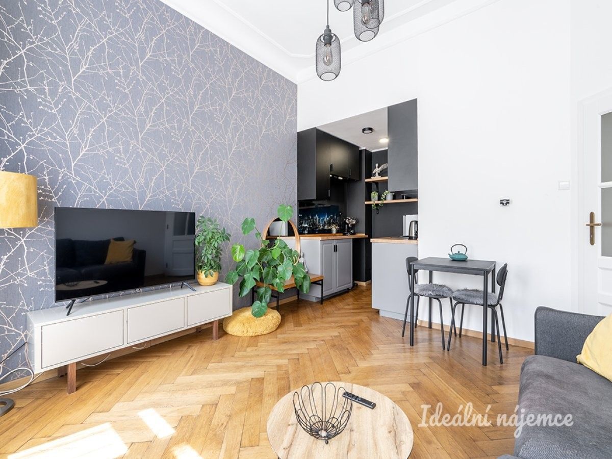 2+kk, Truhlářská, Praha, 33 m² - 2