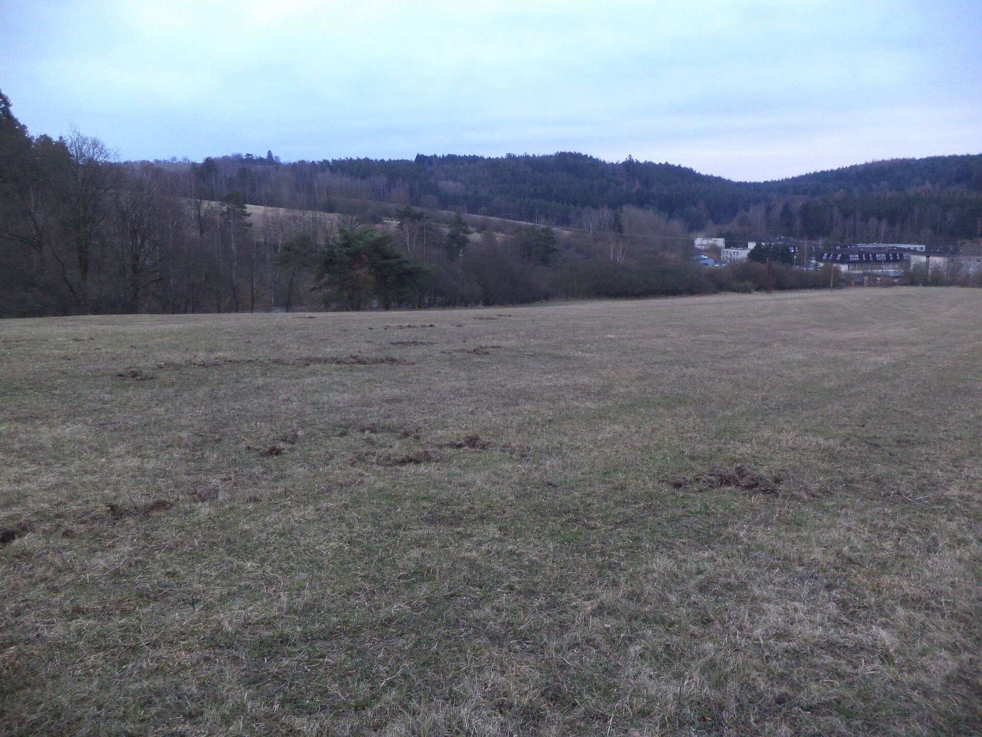 Zemědělský pozemek · 6 625 m² · Tis u Blatna Balková - 1
