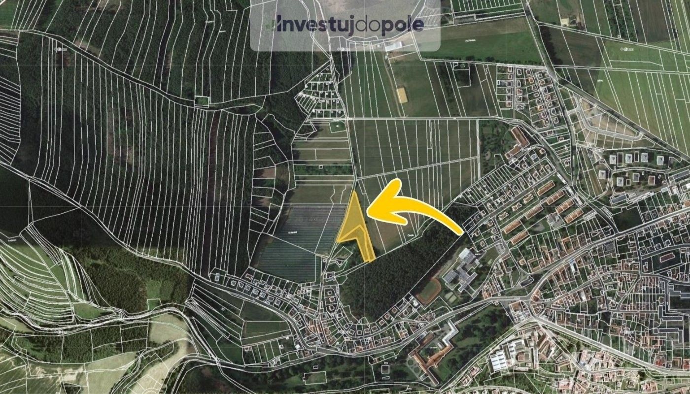 Prodej louka - Velké Opatovice