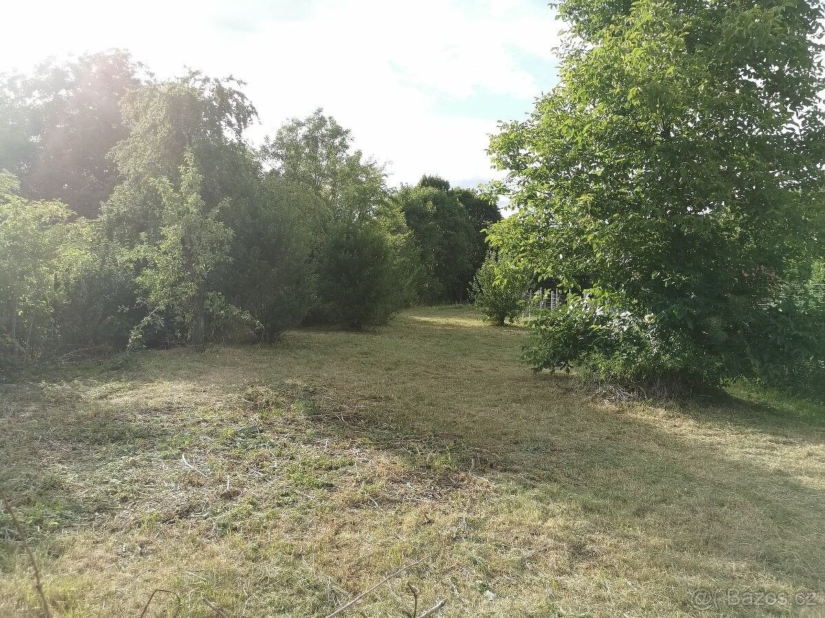 Pronájem zahrada - Nezamyslice u Prostějova, 798 26 - 2