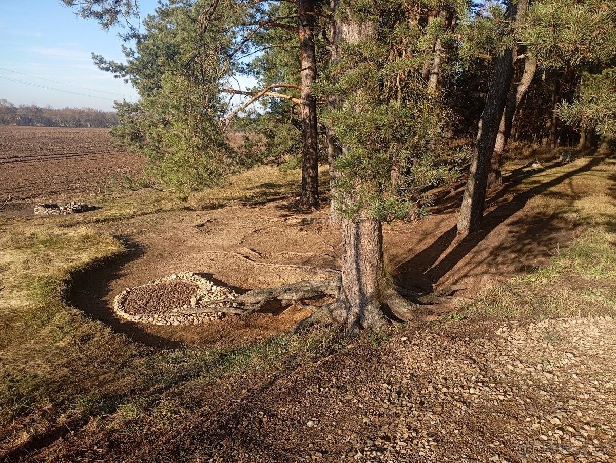 Prodej pozemek pro bydlení - Borohrádek, 517 24