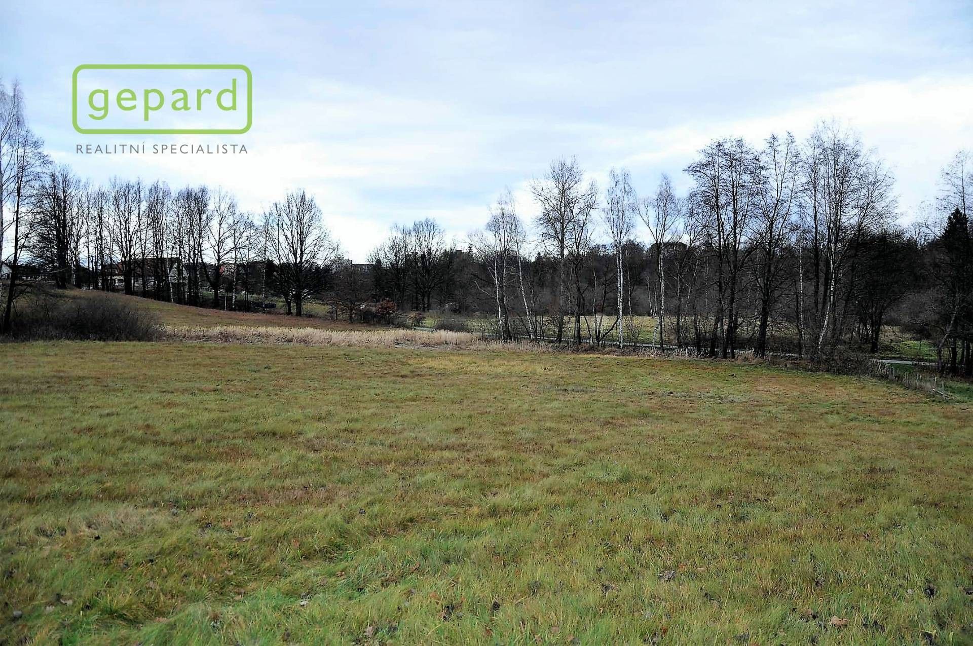 Prodej zemědělský pozemek - Trhové Sviny, 4 674 m² - 5