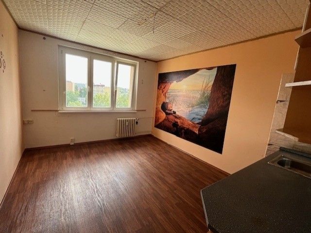 Byty, Chodov u Karlových Var, 357 35 - 1