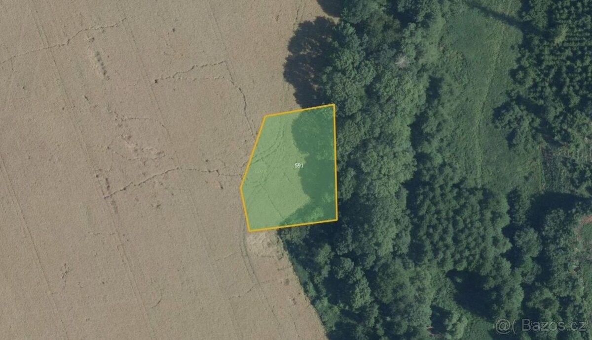 Prodej pozemek pro bydlení - Vilémov u Golčova Jeníkova, 582 83