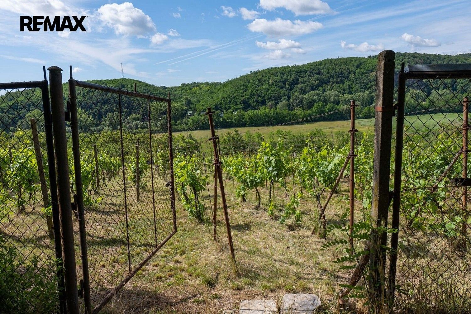 Prodej pozemek - Moravské Bránice, okres Brno-venkov - 5