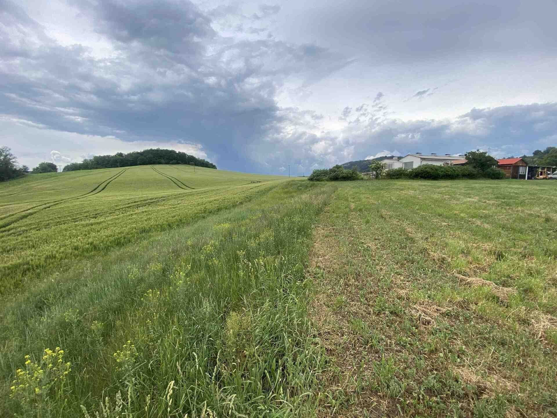 Pozemek · 1 561 m² · Řehlovice - 3