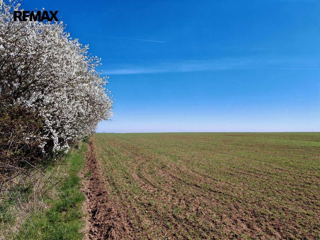 Zemědělský pozemek, 29 272 m²