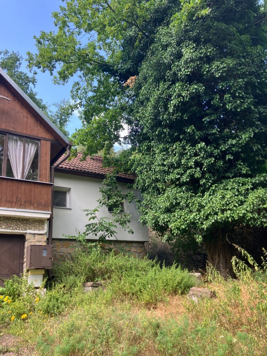 Chaty, Kněždub - Kněždub, Jihomoravský kraj, 120 m² - 1