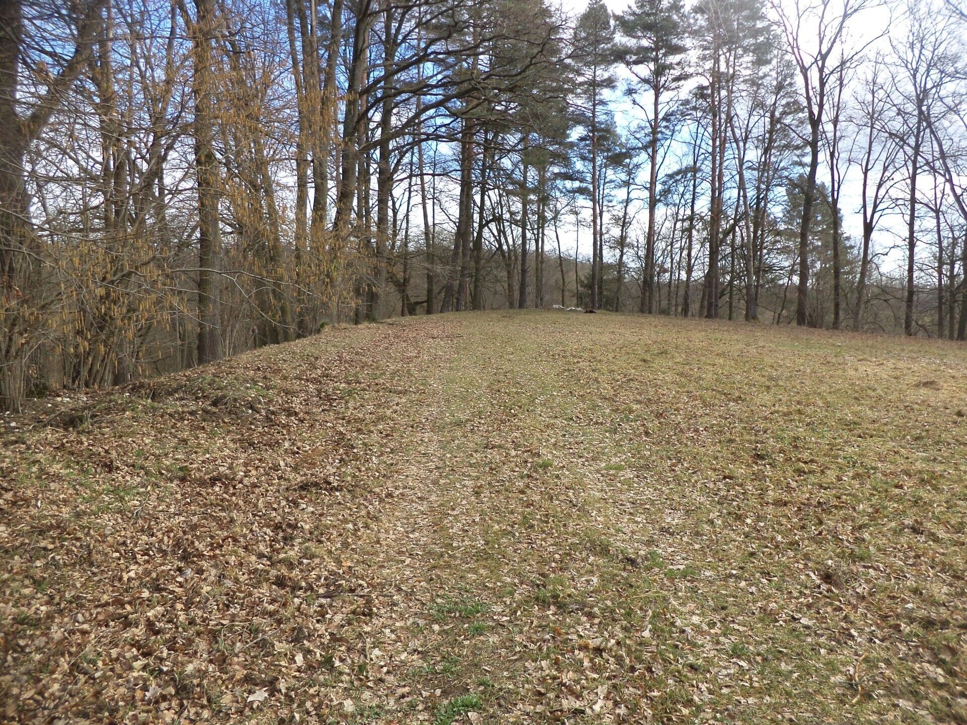 Louka · 6 591 m² · Novosedly nad Nežárkou - 3