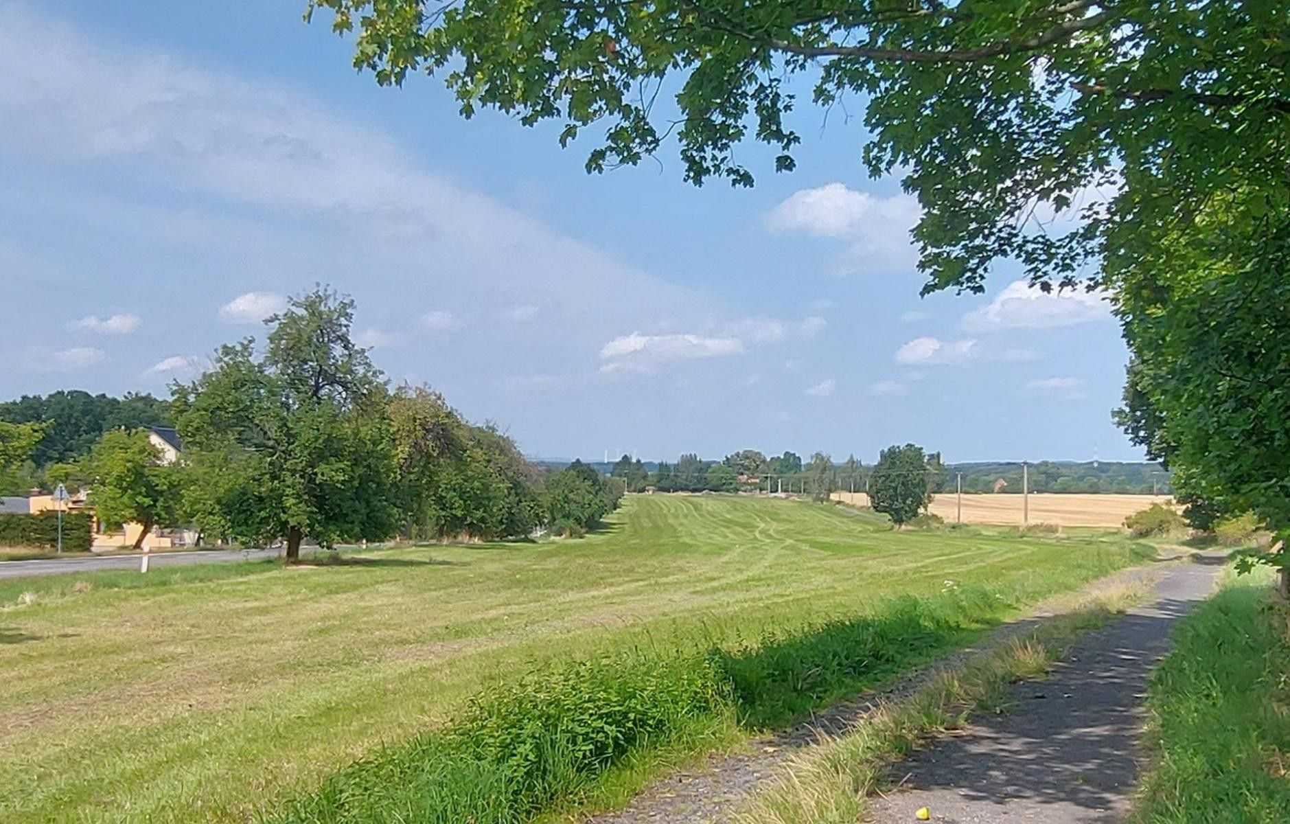 Prodej komerční pozemek - Habartice, 27 144 m²